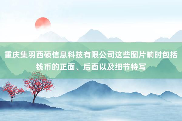 重庆集羽西硕信息科技有限公司这些图片晌时包括钱币的正面、后面以及细节特写