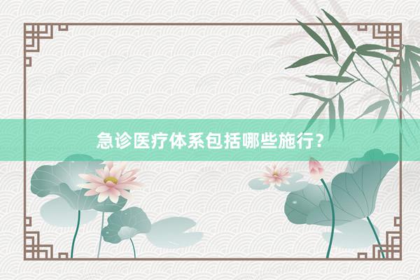 急诊医疗体系包括哪些施行？