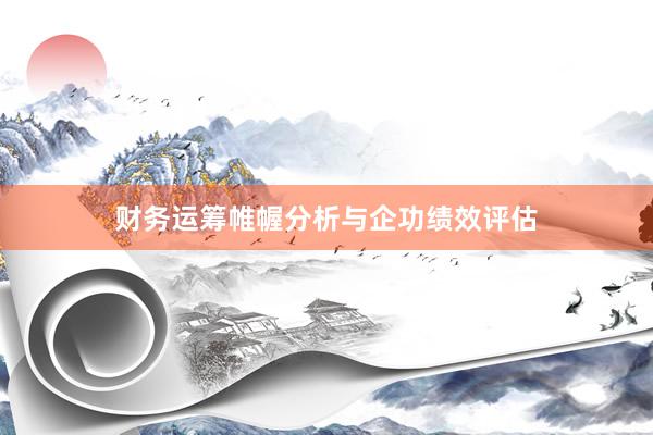 财务运筹帷幄分析与企功绩效评估